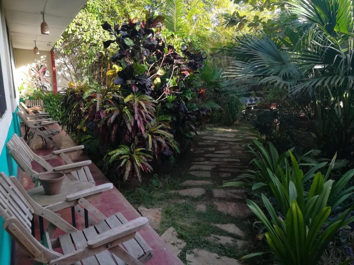 Hostal Harvest House Leon Luaran gambar