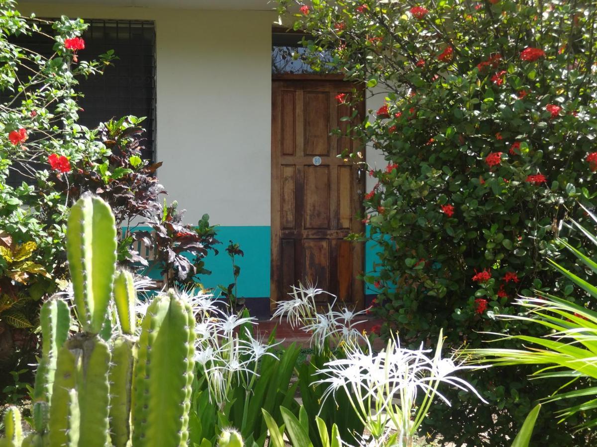 Hostal Harvest House Leon Luaran gambar