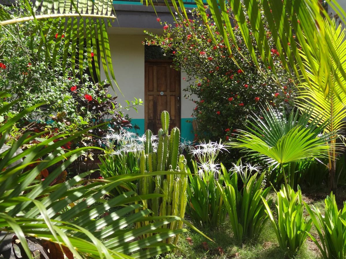 Hostal Harvest House Leon Luaran gambar